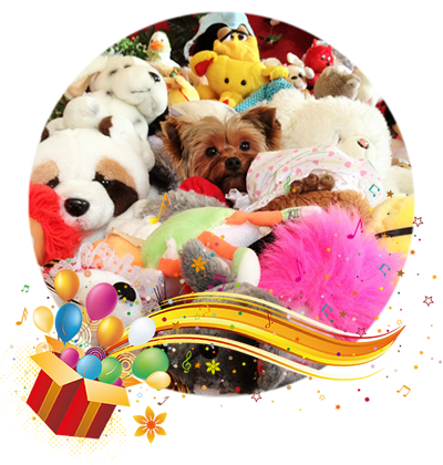 Unterhaltungsprogramm Kindergeburtstag Unterhaltungsprogramm Kindergeburtstag